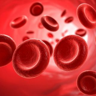 Posiluje stěny krevních cév